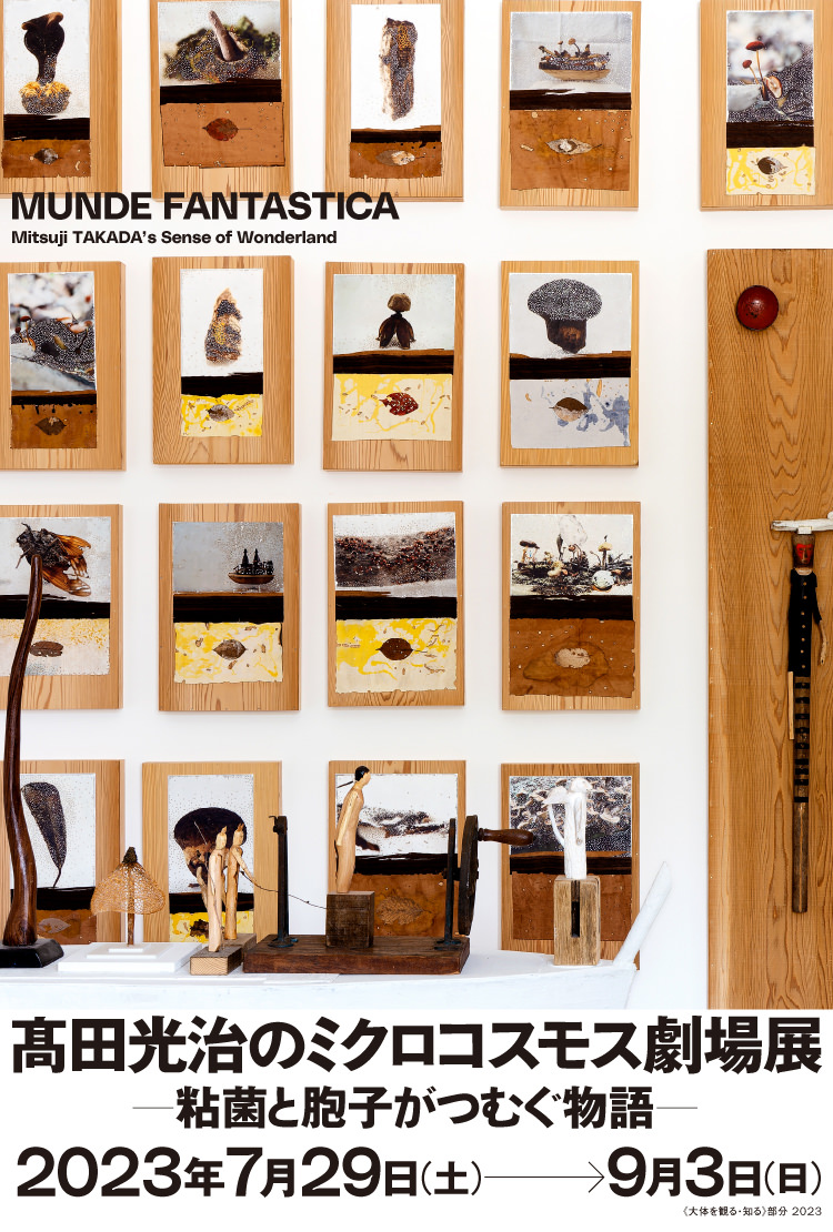 髙田光治のミクロコスモス劇場展―粘菌と胞子がつむぐ物語―
