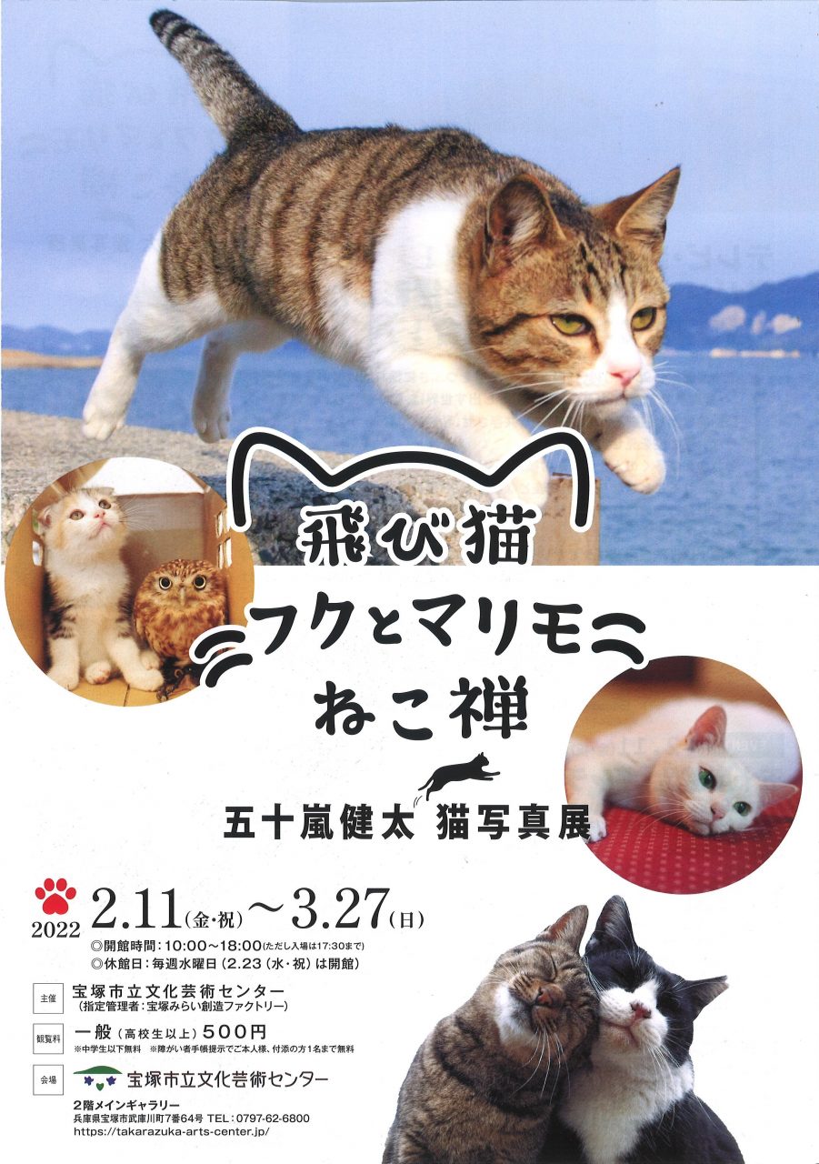 五十嵐健太 飛び猫写真展 展覧会 宝塚市立文化芸術センター